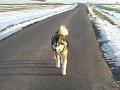 scout 12-2010 7